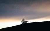 Oron: le Solitaire