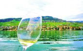 Lavaux Passion: L’art de la dégustation