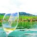 Lavaux Passion: un voyage dans et pour tous les sens